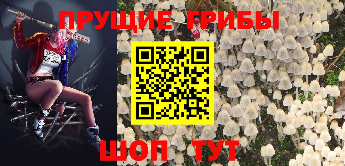 Галлюциногенные грибы Psilocybe Асбест