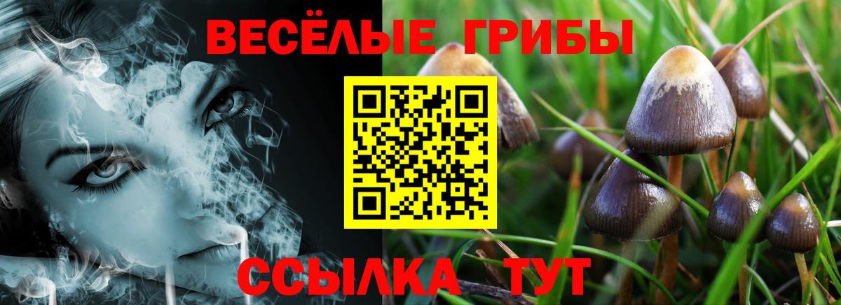 Асбест  Псилоцибиновые грибы Cubensis  Вход с VPN 